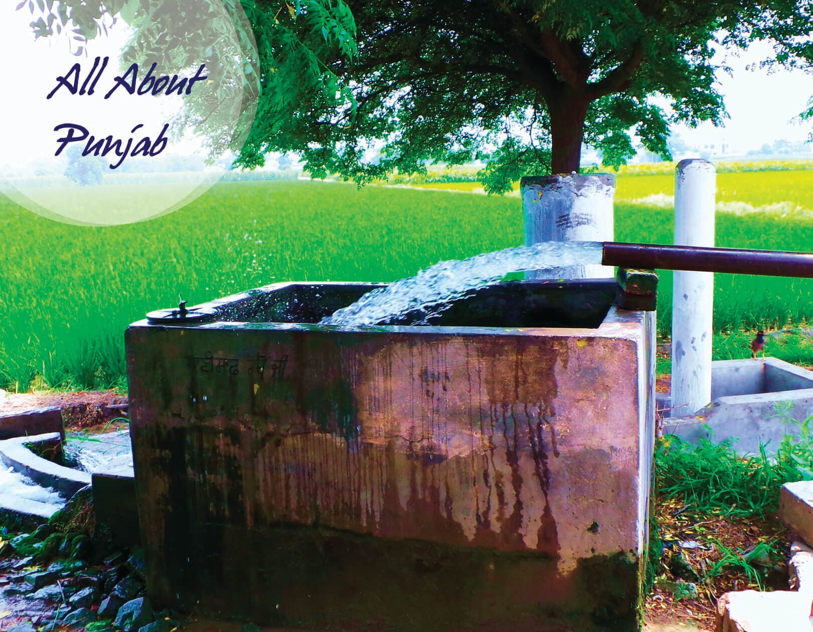 All About Punjab Calendar Theme