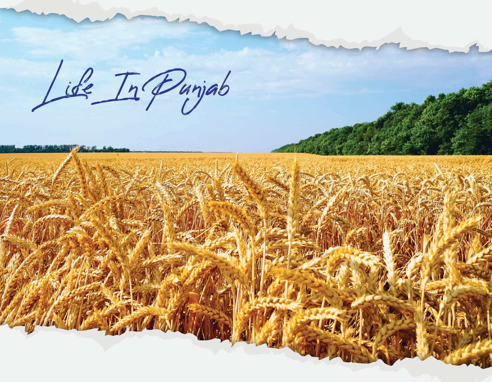 Life in Punjab Calendar Theme