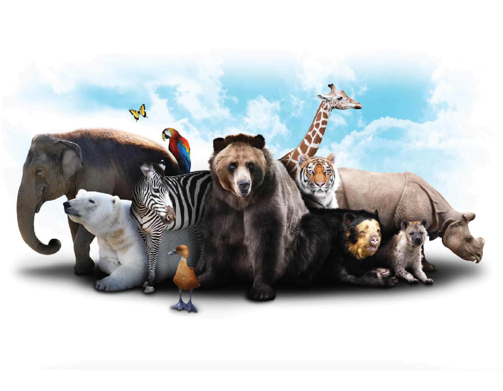 Wildlife Calendar Theme